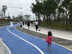 -南汇嘴观海公园