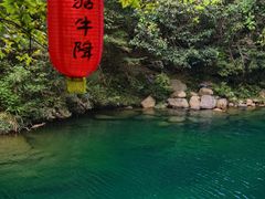 -石台牯牛降景区