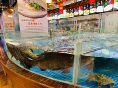 水产区-香山湖家家宴(中山陵店)