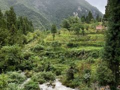 -鹿院坪生态旅游景区