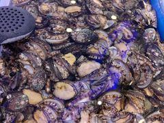 -澜悦港海鲜体验主题餐厅