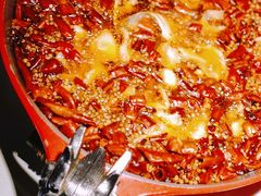 -雲蜀龙阁·金牌水煮鱼(方庄店)