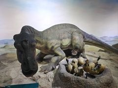 -国家自然博物馆