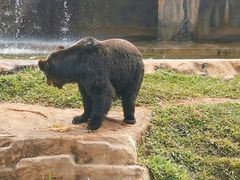 -海南热带野生动植物园