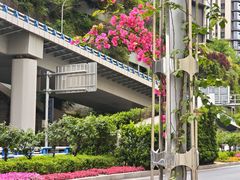 -百林公园-两江幸福广场