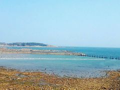 android_upload_pic-青岛第二海水浴场