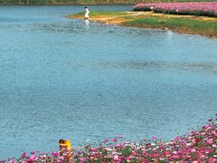 -黄山鲁森林公园