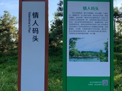 -东郊湿地公园