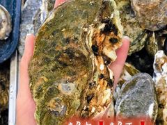 -蚝抵食·湛江生蚝(湾北路店)