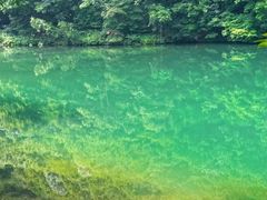 -龙道沟景区