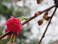 -柳侯公园