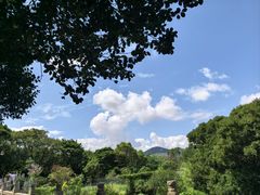 -普陀山风景名胜区-法雨禅寺