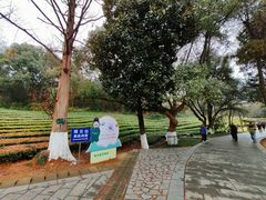 -敬亭山风景名胜区