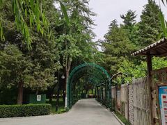 -黄村公园
