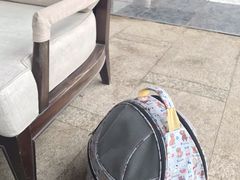 -李沧绿城喜来登酒店大堂吧