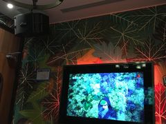 -米乐星世界KTV