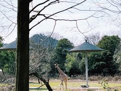 -宁波野生动物园
