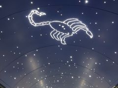-上海港国际客运中心