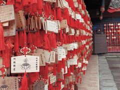 -峨眉山报国寺