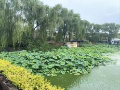-芙蓉花月子会所(朝阳区店)