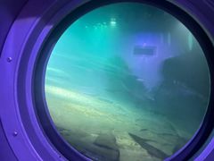 -白鹤梁水下博物馆