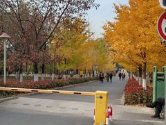 -长白岛森林公园