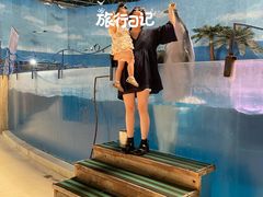 -泉城欧乐堡海洋极地世界