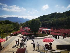 -牛岗山公园