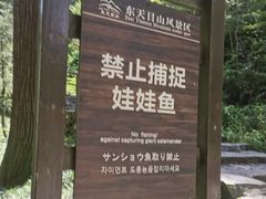 -东天目山风景区