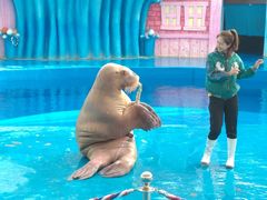 -华夏文旅海洋公园