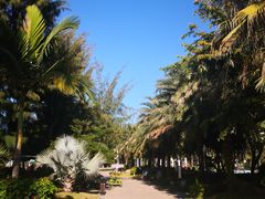 -惠州金海湾嘉华度假酒店