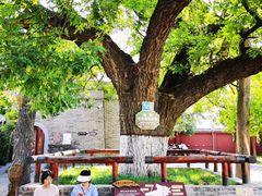 -洛阳周公庙博物馆