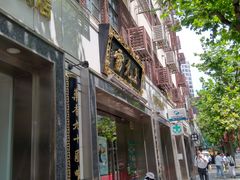 -雷允上(南京西路店)