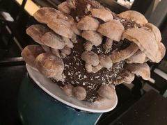 -捞王猪肚鸡火锅(财富中心店)