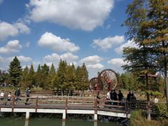 -黄海国家森林公园