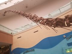 -陕西自然博物馆