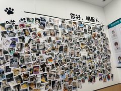 -瑞派·关忠动物医院·猫专科·犬专科(三环新城店)