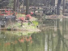 -上海滨江森林公园