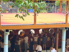 -将军关探险漂流