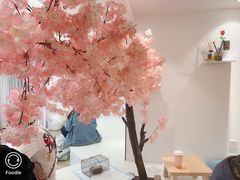 -浣熊柯尔鸭土拨鼠·电玩咖