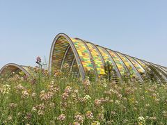 -中国天府农业博览园