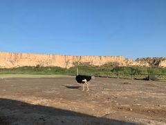 -水洞沟旅游区