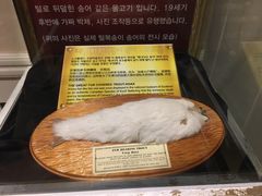 -信不信由你博物馆