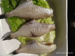 -锅说大脸毛肚重庆老火锅(佐阾店)