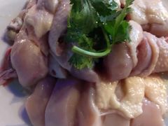 -千岛蚝高压锅生蚝·人参火锅(白云万达店)