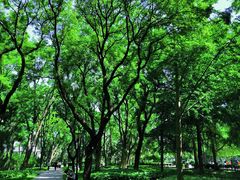 -玲珑塔公园