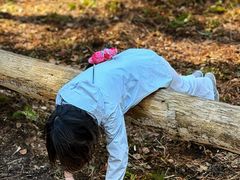 -五营红松林海景区