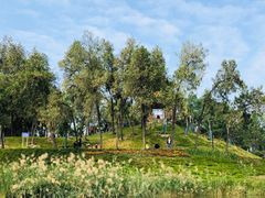 -商丘市人民公园