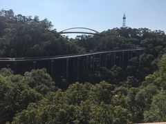 -金鸡山公园