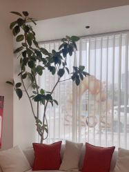 -WENDY·温迪皮肤管理